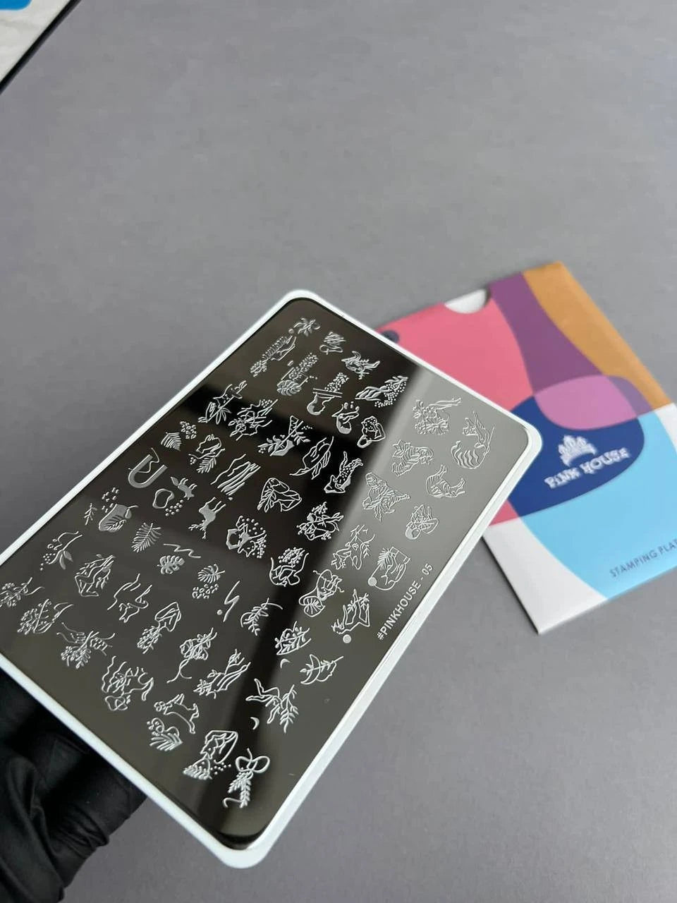 Pink house stamp plaka 005